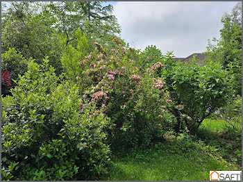 maison à Orbec (14)