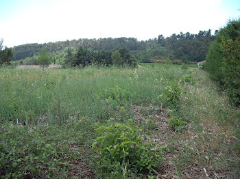 terrain à Villeneuve-Minervois (11)