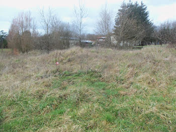 terrain à Rambervillers (88)