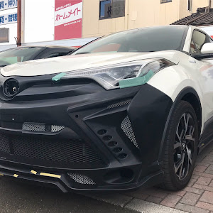 C-HR ZYX10