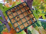 No-Melt Suet (For Birds) was pinched from <a href="http://www.food.com/recipe/no-melt-suet-for-birds-321434" target="_blank">www.food.com.</a>