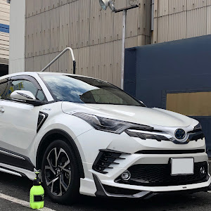 C-HR ZYX10