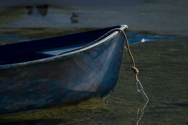 BLU di elenaraja