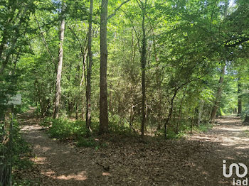 terrain à Bois-le-Roi (77)