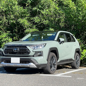 RAV4 MXAA54