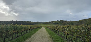 maison à Saint-Emilion (33)