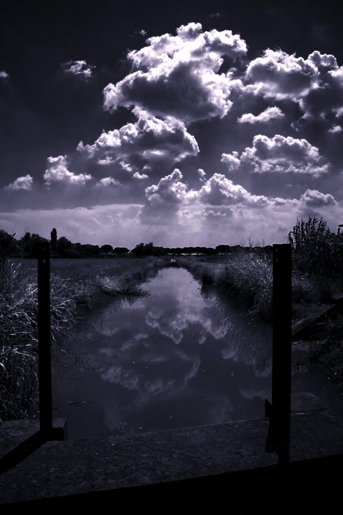 Guarda le nuvole in cielo di mauro.maestri