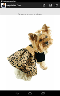 Dog Clothes Cute Screenshots 0