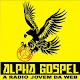 radioalphagospel Install on Windows