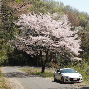 BRZ ZC6