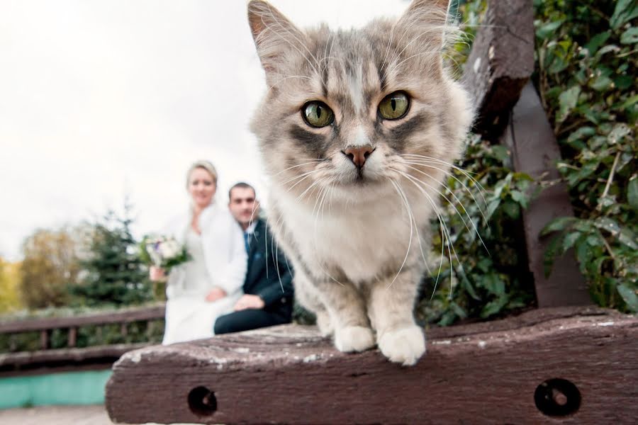 Wedding photographer Andrey Gacko (andronick). Photo of 8 November 2018