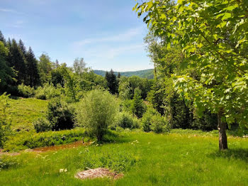 viager à Haut-du-them-chateau-lambert (70)