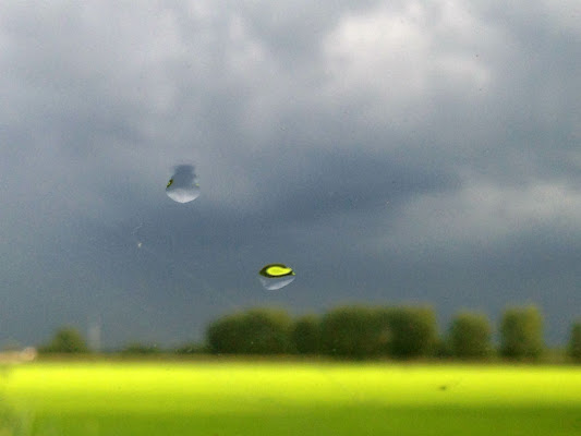 fuori piove di kaira