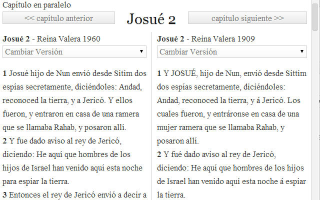 Biblia y Concordancia con Audio Preview image 1