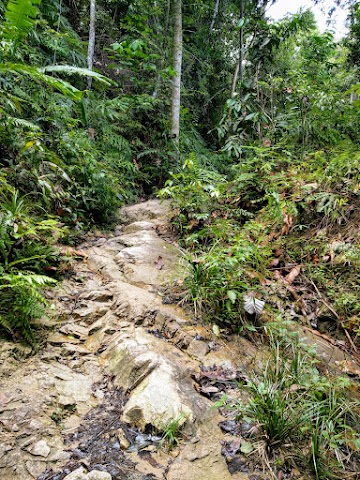 Lata Medang hiking guide