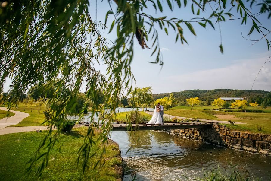 Wedding photographer Artem Kolomiec (colomba). Photo of 24 January 2022