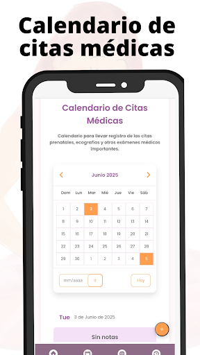 Screenshot Mi embarazo semana a semana