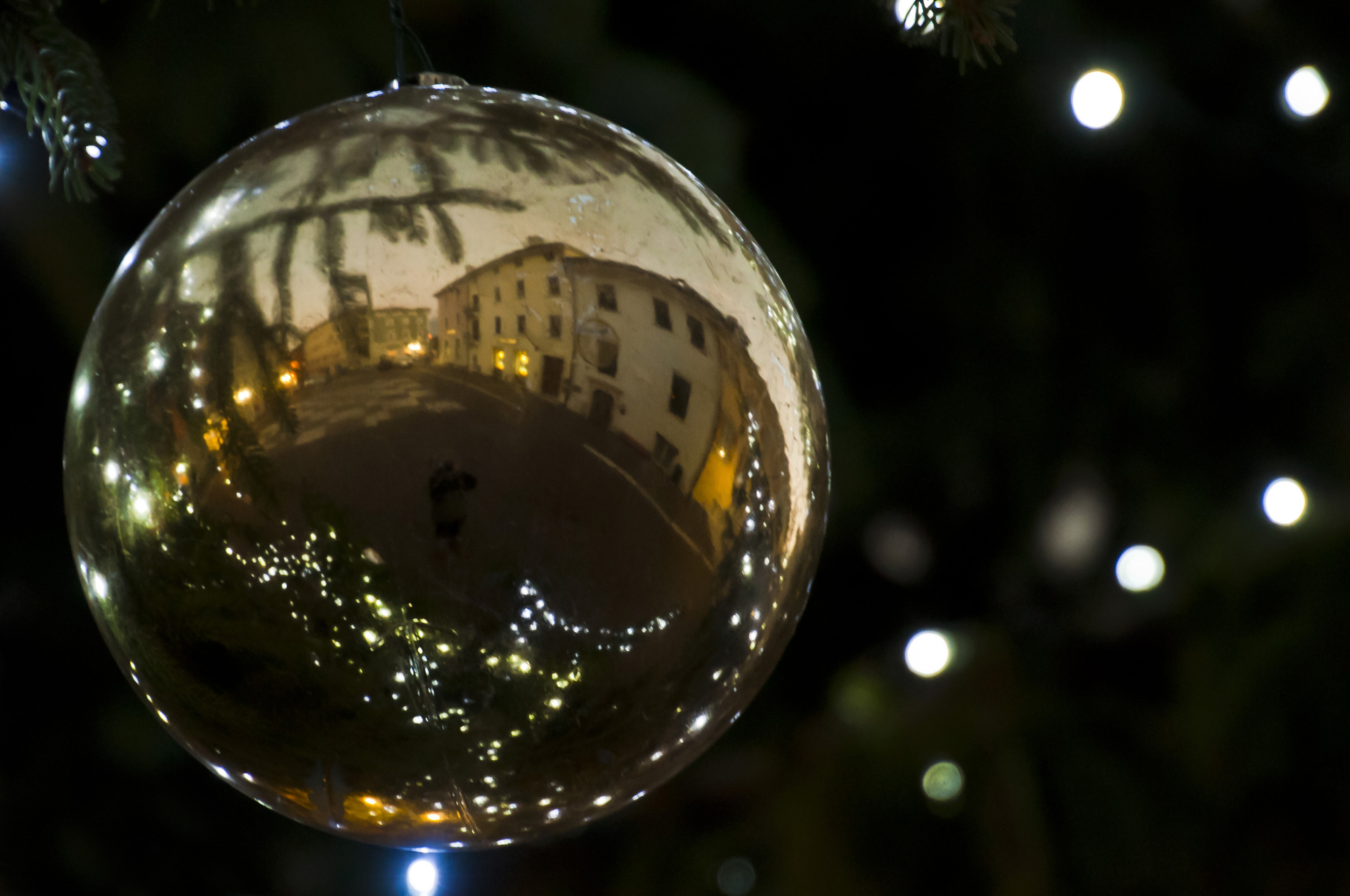 All around Christmas di Cristina Accotto