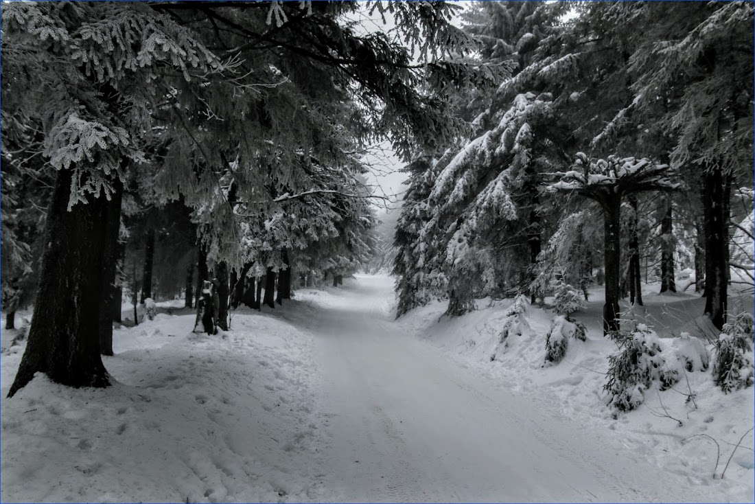 Тюрингенский лес (Thüringer Wald) и Айзенах в январе 2022.