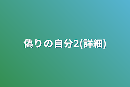 偽りの自分2(詳細)