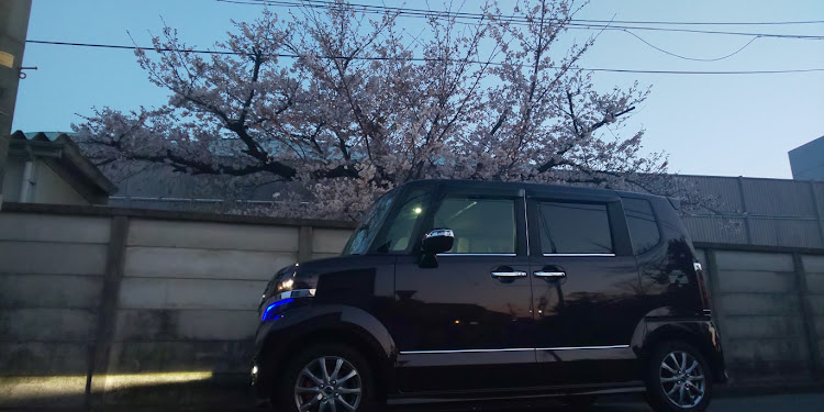Nボックスカスタムの桜とコラボに関するカスタム事例の投稿画像2枚目
