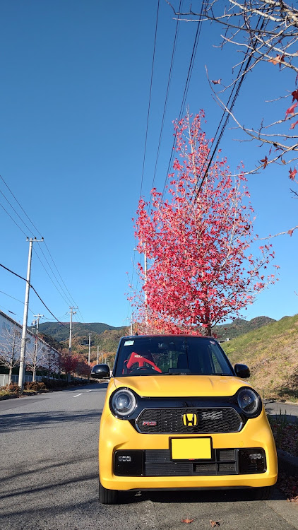 N-ONEの紅葉も終わり・和歌山ドライブ・JG3 N-ONE RSに関するカスタム事例の投稿画像4枚目
