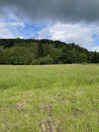 terrain à Ban-de-Laveline (88)