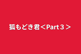 狐もどき君＜Part３＞