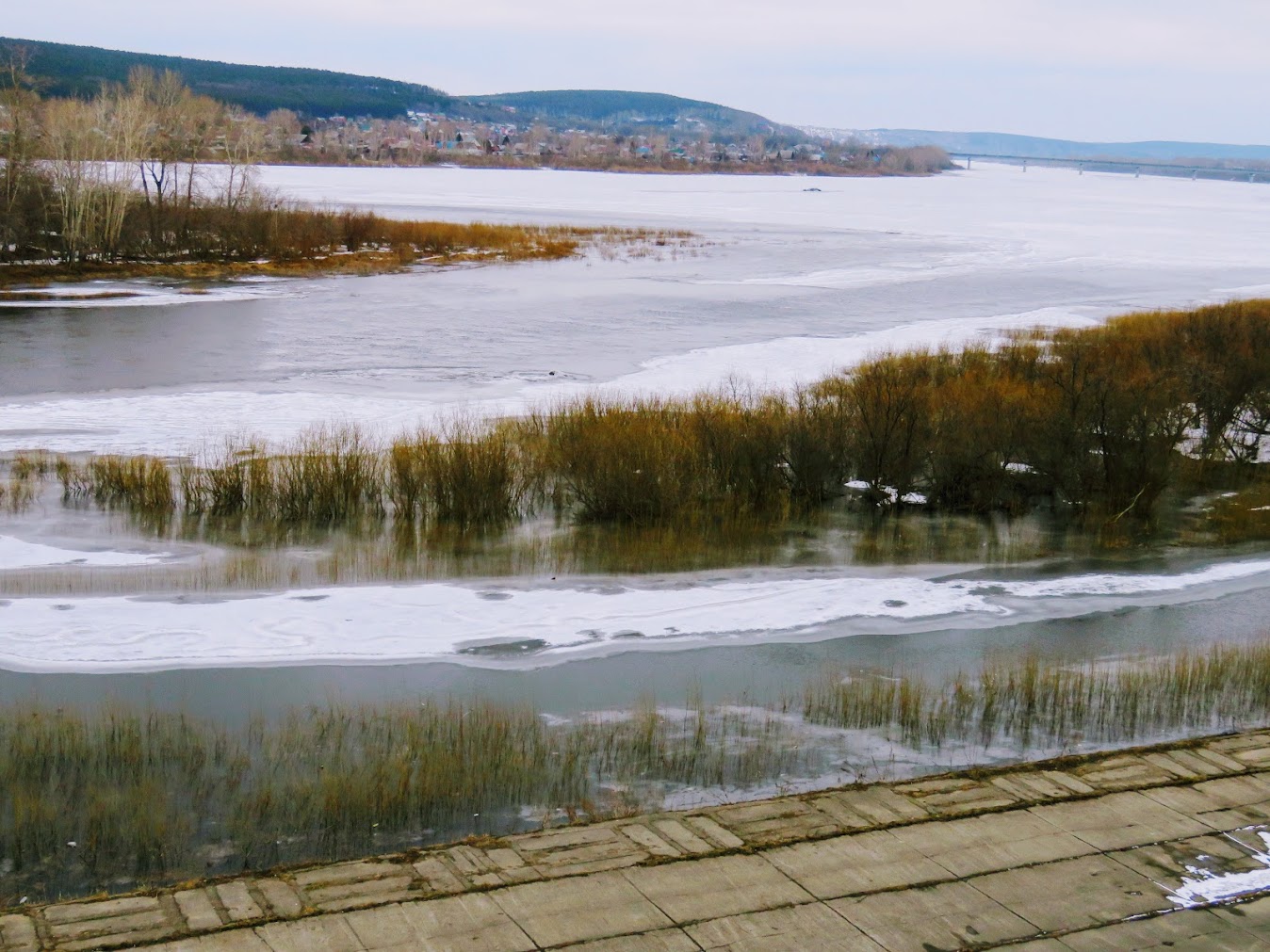 Томь в реальном времени