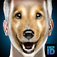 What are you dog face id scanner simulator