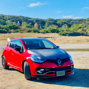 ルーテシア RM5M