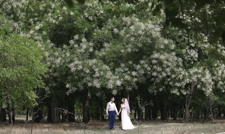 Wedding photographer Natalya Timanova (timanova). Photo of 9 September 2017