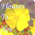 Flowers to You icon