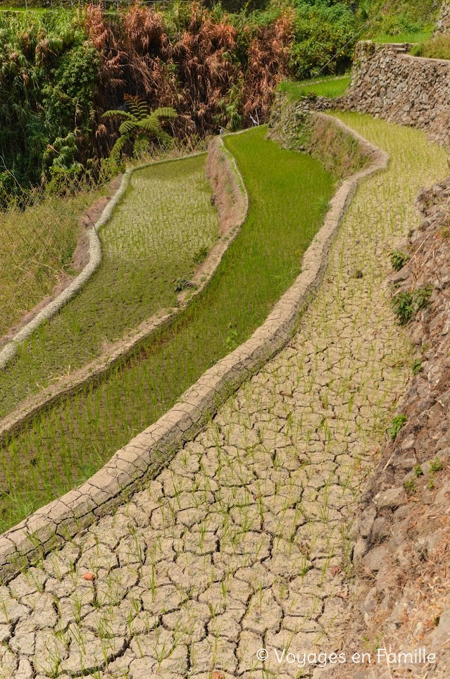 Remontée Lanah Junction, potagers