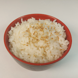 Sushi Rice