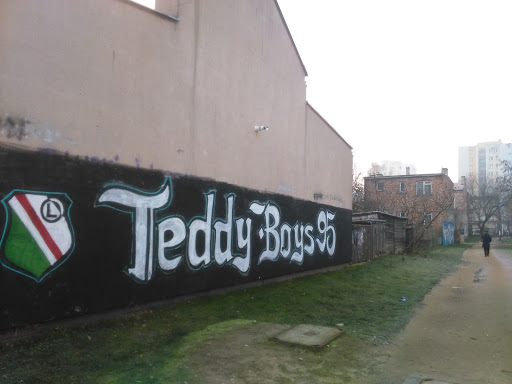 Teddy Boys Targowek