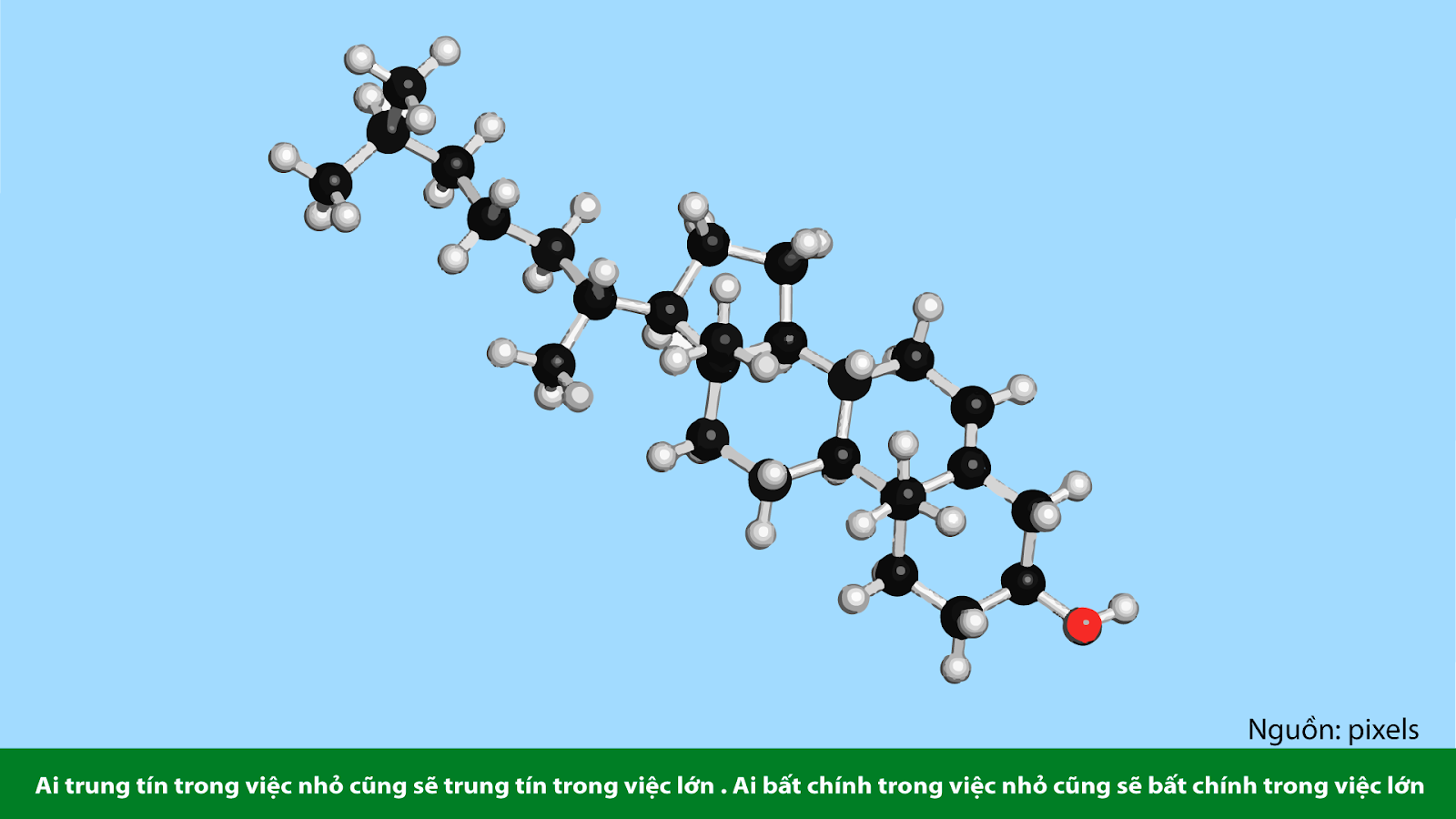 BỆNH MỠ MÁU CAO HAY TĂNG CHOLESTEROL MÁU