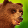 Talking Bear icon