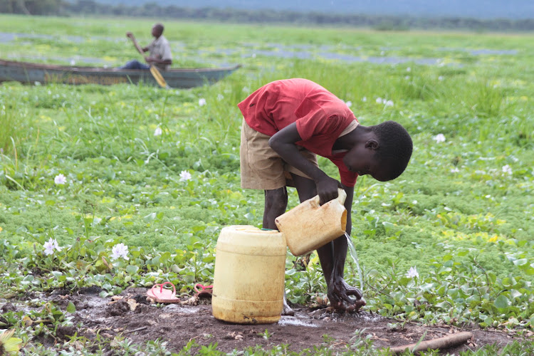 A boy washes his feet on the shore of overgrown Lake Kamnarok in Kerio Valley, Baringo Norths subcounty, on Tuesday. Ninety per cent of the lack is overgrown by water hyacinth.