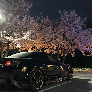 RX-8