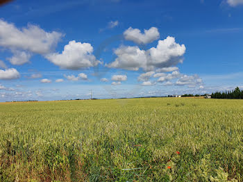 terrain à Angliers (86)