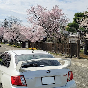 インプレッサ WRX STI GVF