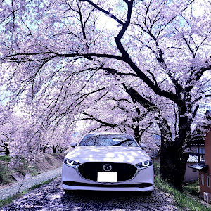 MAZDA3