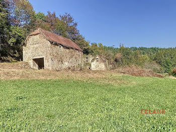 maison à Beaulieu-sur-Dordogne (19)