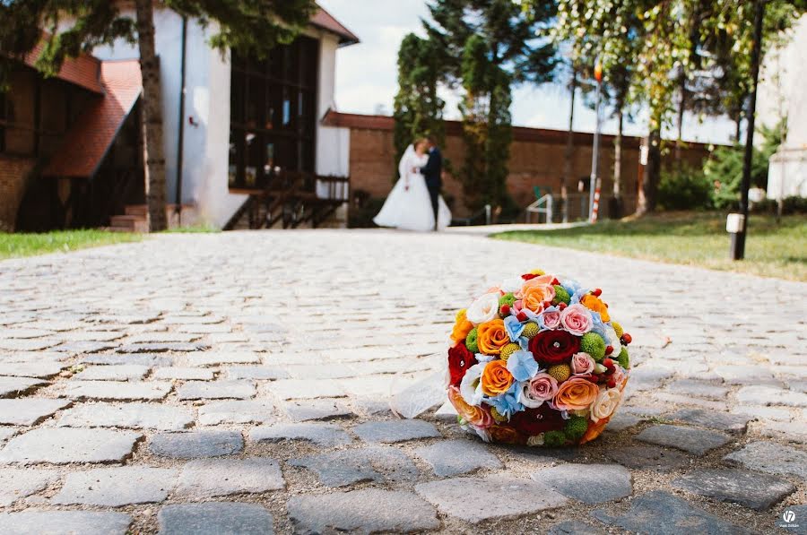 Photographe de mariage Vass Zoltán (zoltanvass). Photo du 24 février 2019