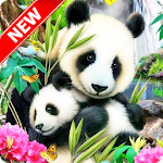 Panda Wallpaper Apk