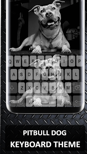 Pitbull Dog Keyboard Theme
