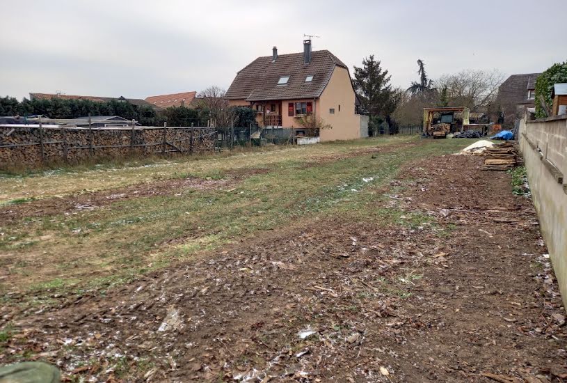  Vente Terrain + Maison - Terrain : 590m² - Maison : 124m² à Sainte-Croix-en-Plaine (68127) 