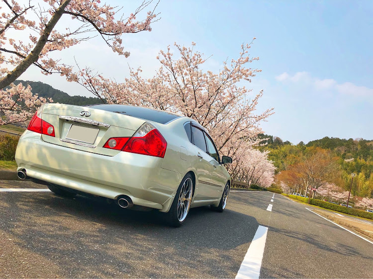 フーガの桜とコラボ・レッドメモリー・エムズガレージに関するカスタム事例の投稿画像3枚目