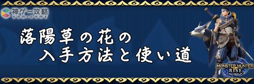 モンハンライズ 落陽草の花の入手方法と使い道 モンハンライズ 神ゲー攻略